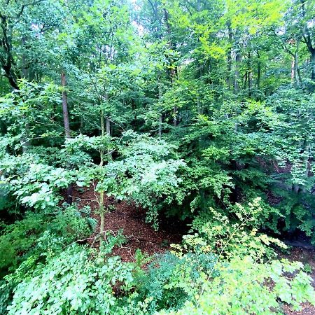 Forest - 23 Marca Sopot By Grand Apartments Luaran gambar
