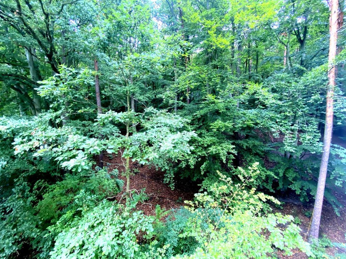 Forest - 23 Marca Sopot By Grand Apartments Luaran gambar